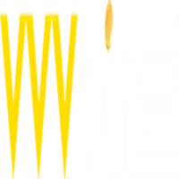vvvwin ltd
