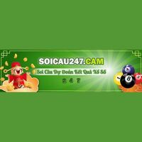 soi cau 247