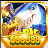 LoachCoplon@gmail.com Good88