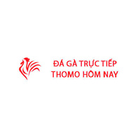 Đá Gà Trực Tiếp  Thomo Hôm Nay