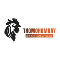 Đá Gà Thomo Hôm Nay 