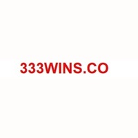 333WINs  co