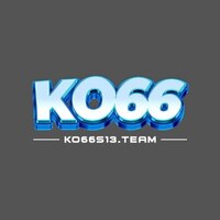 ko66s13team 