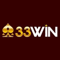 33WIN  camera