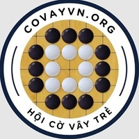 Covayvn org