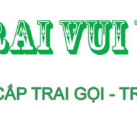 trai vui ve