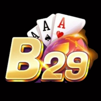 B29 