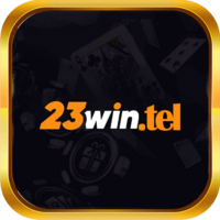 23win 