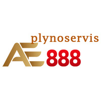 AE888  plynoservis
