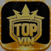 TOPVIN it com
