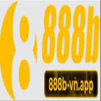 888B VN