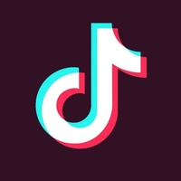 Comprar Seguidores TikTok 