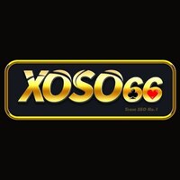 XỔ SỐ  66