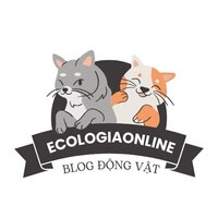 EcologiaOnline  Com