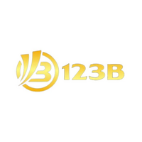 123b  computer