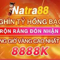 Natra 88