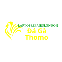 Đá Gà Trực Tiếp  Thomo