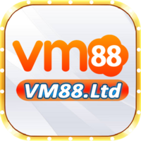 VM88 LTD