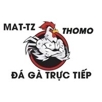 daga tructiepmat