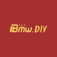 1bmw  diy