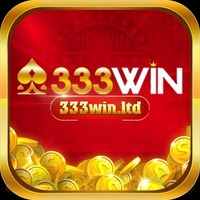 333Win ltd