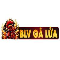 BLV  GÀ LỬA