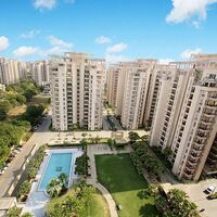 Prestige  Evergreen