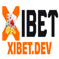 xibet dev
