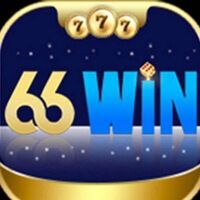 66WIN  Vin