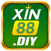 Xin88 diy