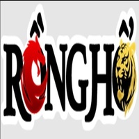 RONGHO99 