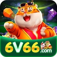 6v66 bet 