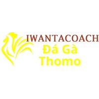 Đá Gà  Trực Tiếp Thomo
