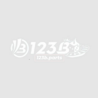 123B parts