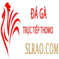 Đá Gà Trực Tiếp Thomo