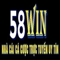 58Winvip skin
