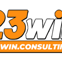 23Win  consulting