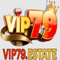 CEO Vip79 Michael Lê