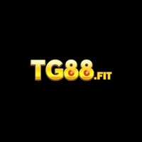 TG88 Nhà cái đẳng cấp số 1 tại việt Nam