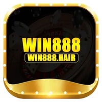 win888 hair