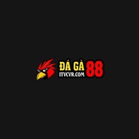 ĐÁ GÀ 88 ĐÁ GÀ TRỰC TIẾP  THOMO HÔM NAY Full HD