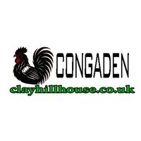 CONGADEN TRỰC TIẾP ĐÁ GÀ THOMO