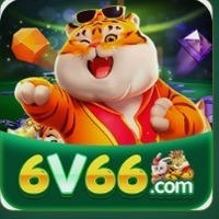 6v66 
