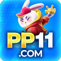 pp11  