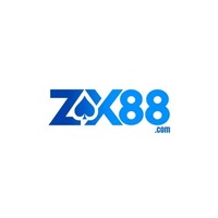Zx8801 