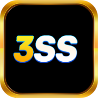 3ss br com