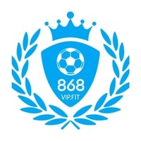 868VIP fit 