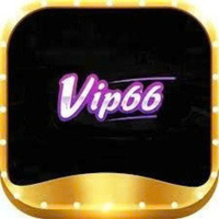 Vip66.study 