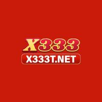 x333 