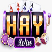 Haywin1 guru